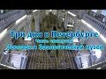 Три дня в Петербурге Часть четвертая: Зоопарк и Зоологический музей