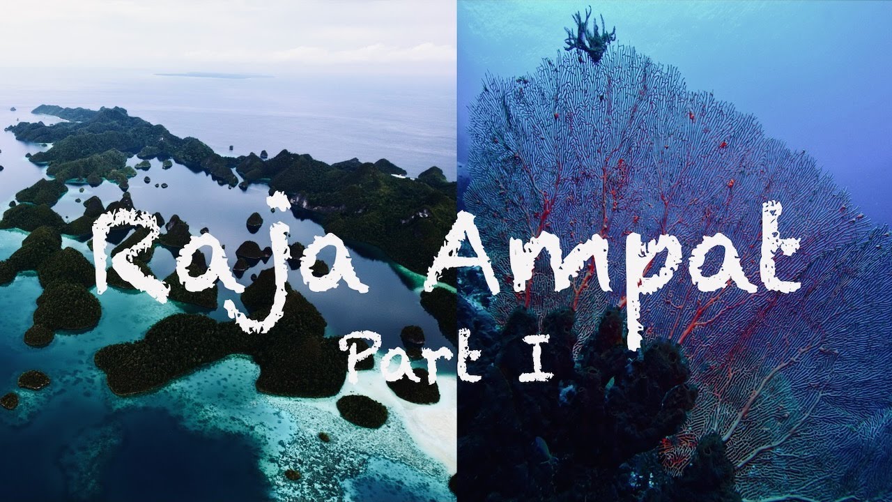 Raja Ampat (4K), Indonesia, West Papua, 2022 Cove Eco (Diving) YouTube