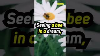 Famous 🐝 What does it mean to see a bee in a dream ? 🌙 #dreamsymbols #dream #dreammeaning Net Worth