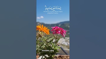 قرآن .    اللهم اجعل القرآن الكريم ربيع قلوبنا #القرآن_الكريم