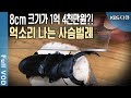 장수풍뎅이로 20억 벌었다 신블루오션 돈 벌레가 몰려온다 KBS 20110121 방송 장수풍뎅이로 20억 벌었다 신블루오션 돈 벌레가 몰려온다 KBS 20110121 방송