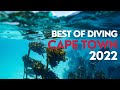 A year of diving cape town best of 2022