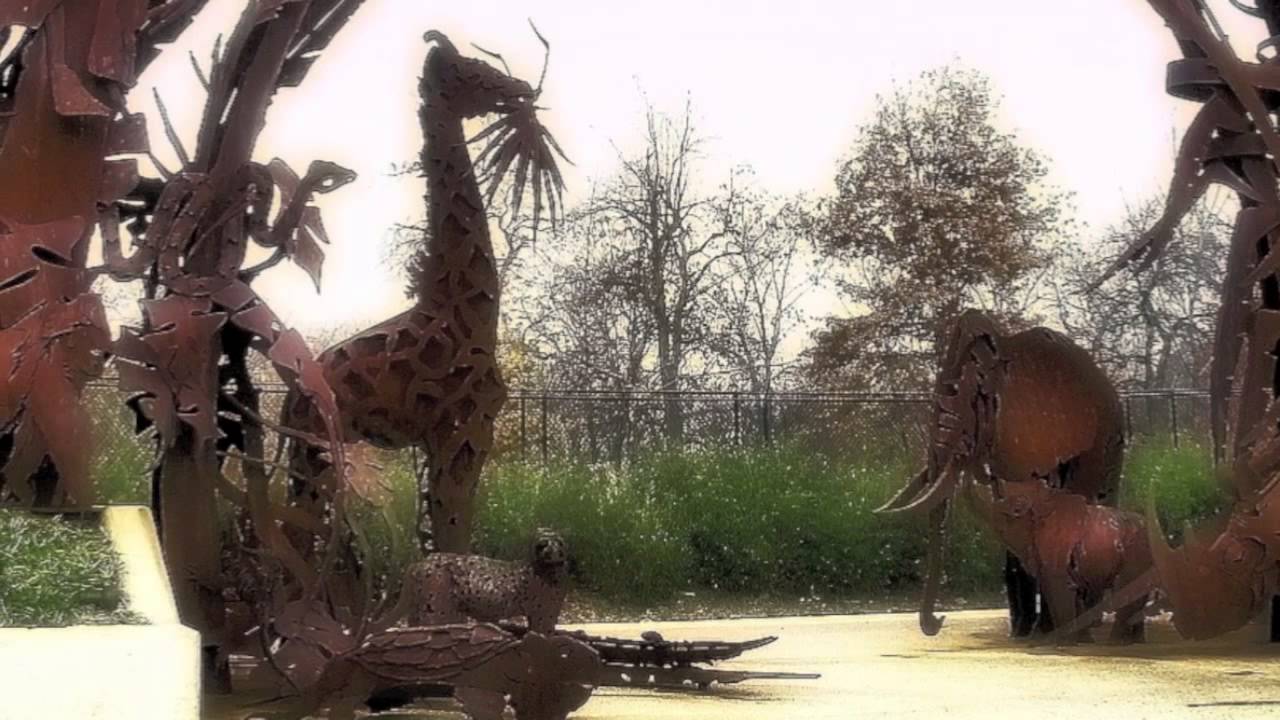 St. Louis Zoo Intro - YouTube