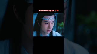 Wangxian True Love #wangxian #weiwuxian #lanwangji #bl#wangyibo王一博 #xiaozhan #theuntamed #trending