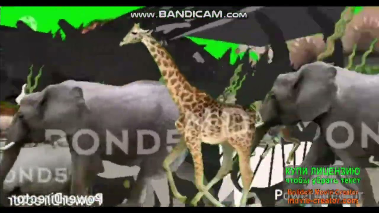 stampede part 187 togever forever