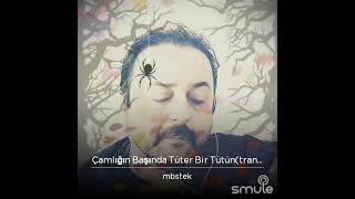 Ziyanın Ağıtı Resimi