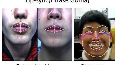 Lip-sync Personal Authentication System  "feature point tracking and openpose" , biometrics