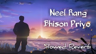 Neel Rang Chhilo Bhishan Priyo (Slowed   Reverb) | Rupam Islam | #viral