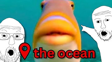 underwater geoguessr is very difficult.