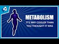 What is Metabolism?