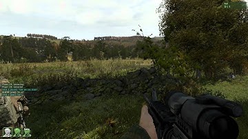 ARMA II  Free Multiplayer survival guide