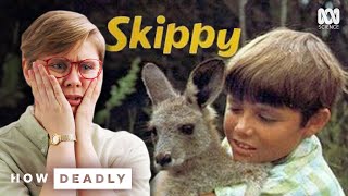 The truth about Skippy The Bush Kangaroo | REACTION