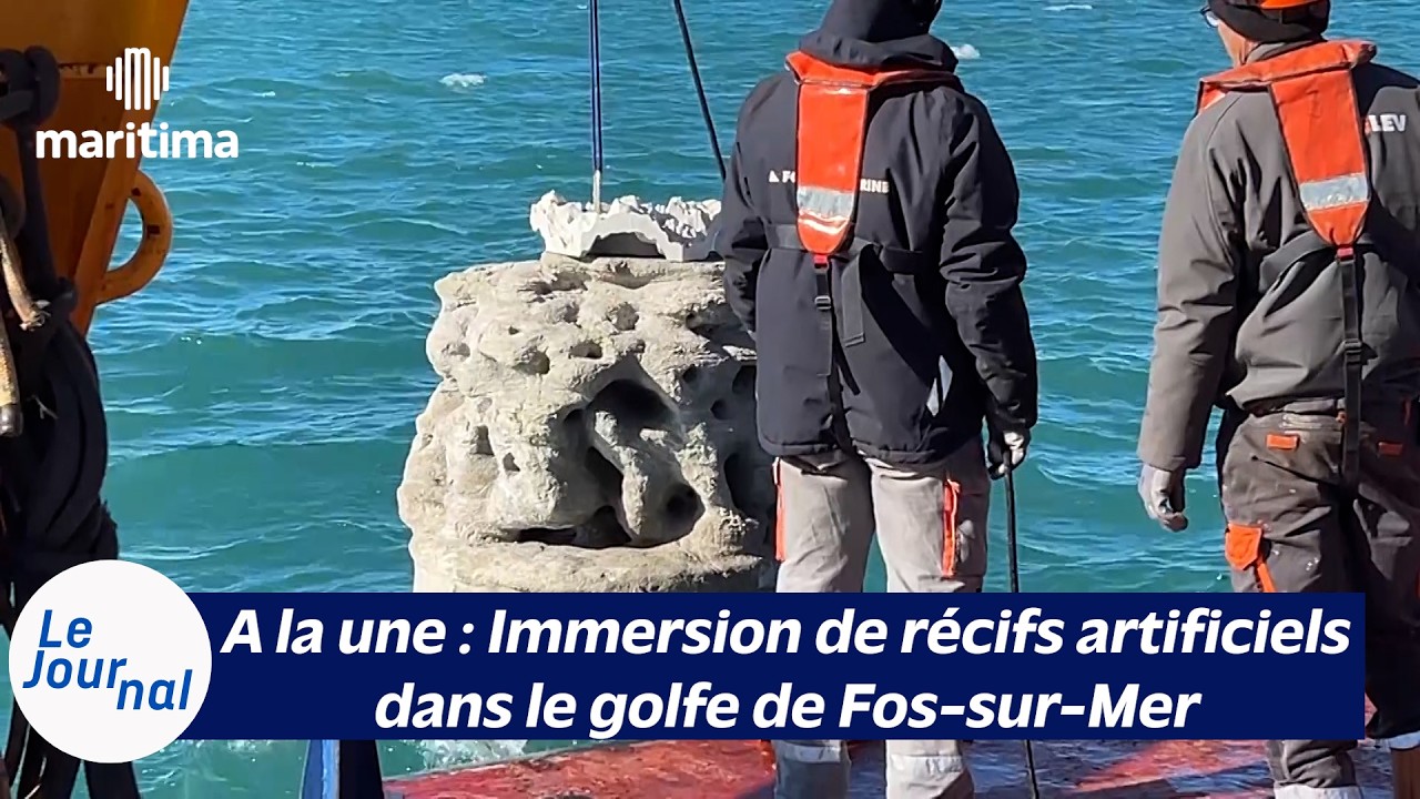 24/02/2026 - Le Journal Maritima TV