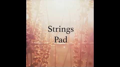 Infinity Strings Pad for Mainstage and Kontakt