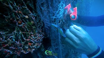 saving a fish strapped in ghost fishing net - scuba diving 💚🐠🤿