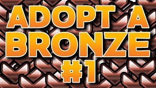 Adopt a Bronze