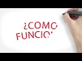 PAQUETE COMUNICACIONAL - GRUPO 9010