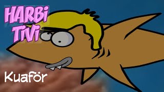 Harbi Tivi - Kuaför