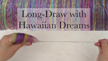 Questionable Blend 10 - Hawaiian Dreams from World of Wool. Spinning from the fold