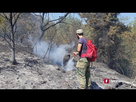 ხანძრის კერები რეგიონებში