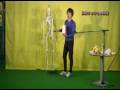 タイツ先生の忍者的ハンドボール（サンプル動画）