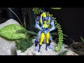 The dance of Evilyn &amp; Skeletor (stopmotion)