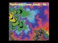 V/A Psychedelic Crown Jewels - Vol. 1 60&#39;S `PSYCH GARAGE