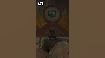 3 FUN FACTS IN COD ZOMBIES 😳