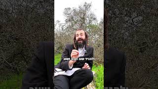 מילה אחת שממיסה כל אבא | הרב דוד גבירצמן