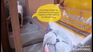 Funny cat video 'Huli pero di kulong'😂 by Happy Cats PH 101 views 3 years ago 45 seconds