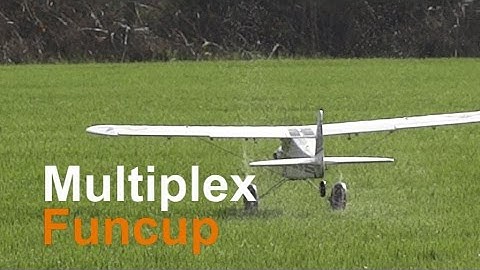 Multiplex Funcub