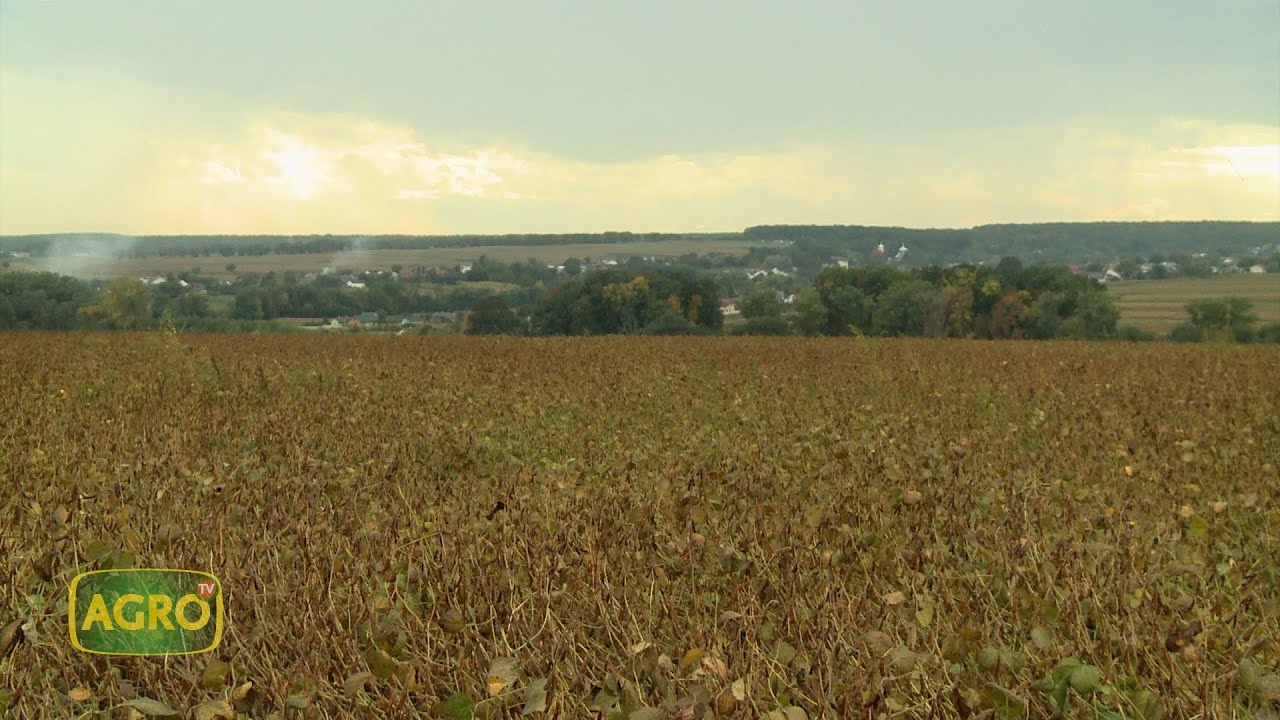Agro Tv en Ucrania: El impacto de la guerra en la producción de alimentos (#1000 2022-10-08)