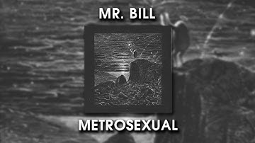 CSS #25 - Mr. Bill - Metrosexual