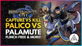 Monster Hunter Rise | Capture vs. Kill, Palico vs. Palamute & Long Sword vs. Flinch Free Discussion