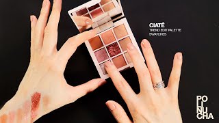 CIATÉ  Trend Edit Palette Swatching