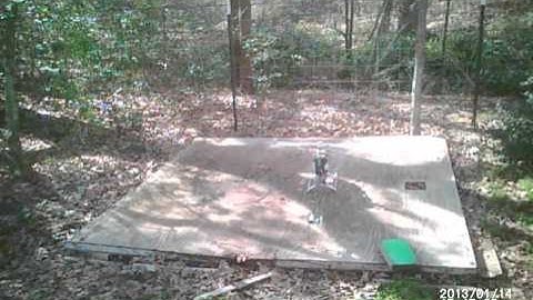 Trex 700 First Hover