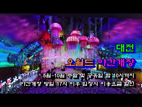 오월드 야간개장