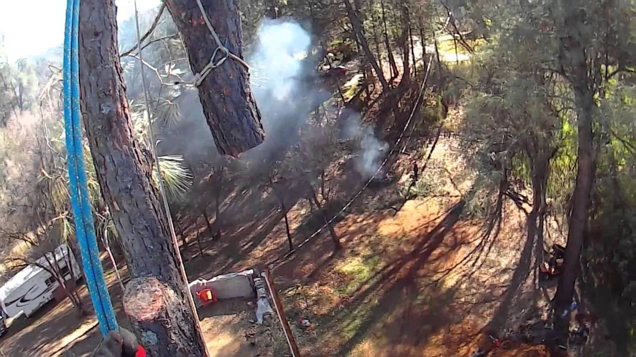 Port a Wrap on Truck Digger Pine Removal 2