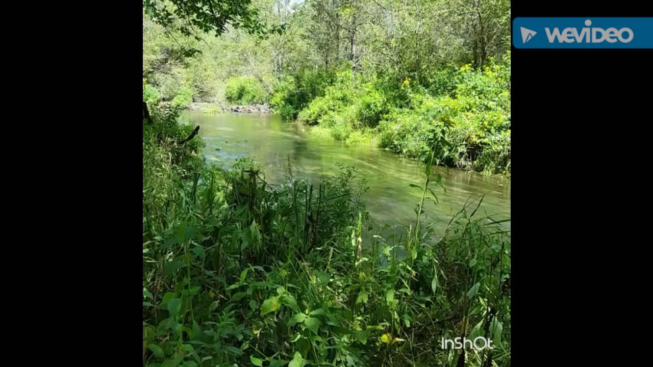Four Pounds of Tannerite on a Beaver Dam