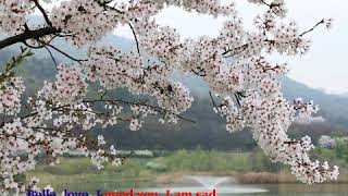 Oscar Strock.tango Bellochka In English Танго Бэллочка