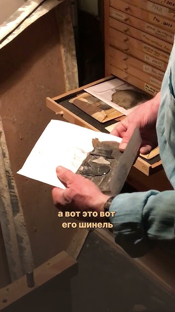 Встреча в мастерской Юрия Норштейна - YouTube