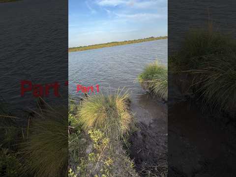 my aunt catching a alligator gar #fishing #saltwaterfix #saltwaterfishing #fish￼