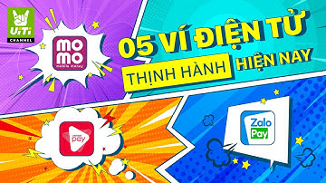 VÍ ĐIỆN TỬ THỊNH HÀNH NHẤT HIỆN NAY || Viti Channel
