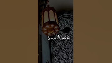 قرآن راحة نفسية --_ ستوريات قران كريم _قرآن حلات واتس اب #short#quran