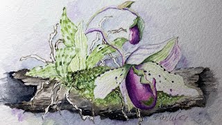 Watercolor lady’s slippers demo tutorial paint along part 2 the log and background