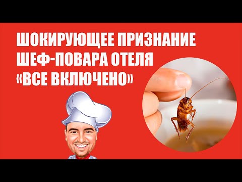 Видео: Куда девается несъеденная еда?