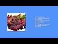 Animal Collective - Strawberry Jam [FULL ALBUM]