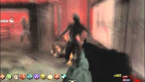 Call of Duty  World at War Zombie library  (Custom Zombies)