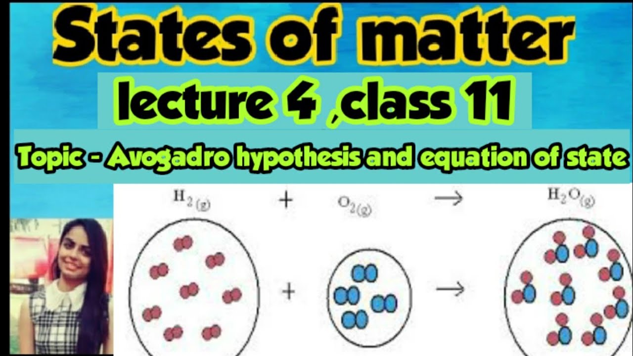 state avogadro's hypothesis class 11