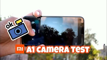 Xiaomi Mi A1 Camera Test : Portrait Mode , Video , Setting , Blur effect